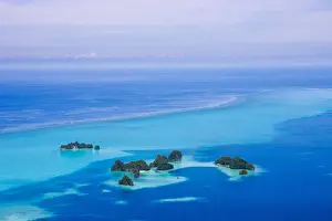 Palau Prints: DDE-90037756