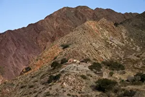 Majestic Prints: DDE-90037901