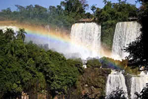 Iguazu Prints: DDE-90037981