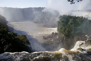 Iguazu Prints: DDE-90037984