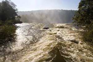 Iguazu Prints: DDE-90037986