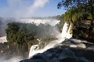 Iguazu Prints: DDE-90037989