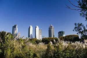 Downtown Prints: DDE-90037995
