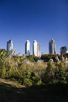 Downtown Prints: DDE-90037996