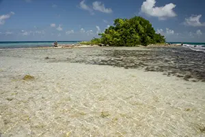 Seashore Prints: DDE-90038112