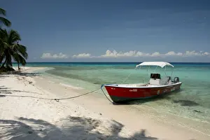 Seashore Prints: DDE-90038121