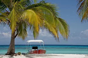 Seashore Prints: DDE-90038122