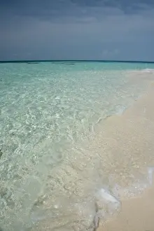 Seashore Prints: DDE-90038137