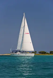 Sailing Prints: DDE-90038202