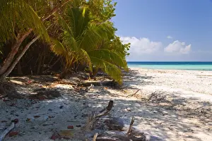 Belize Prints: DDE-90038204