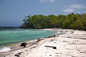 Belize Prints: DDE-90038205