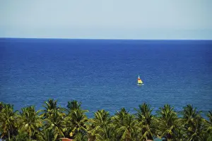 Sailing Prints: DDE-90038250