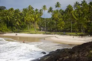 Surf Prints: DDE-90038533