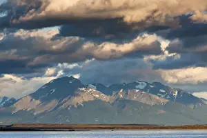 Chile Prints: DDE-90038549