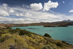 Chile Prints: DDE-90038554