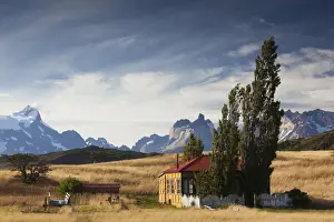 Patagonia Prints: DDE-90038567