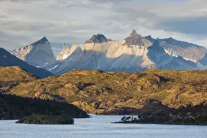 Patagonia Prints: DDE-90038568