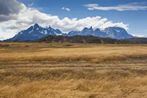 Patagonia Prints: DDE-90038569