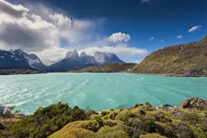 Patagonia Prints: DDE-90038572