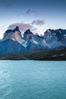 Patagonia Prints: DDE-90038574