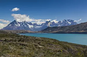 Patagonia Prints: DDE-90038578