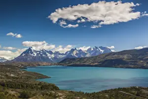 Patagonia Prints: DDE-90038579