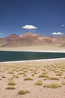 Chile Prints: DDE-90038581