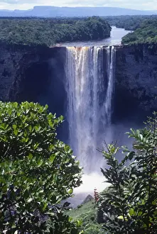 Falls Prints: DDE-90038657