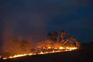 Fire Prints: DDE-90038663
