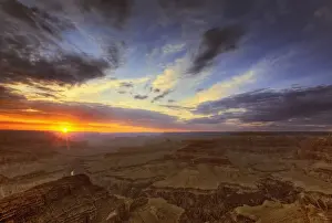 Arizona Prints: DDE-90038784