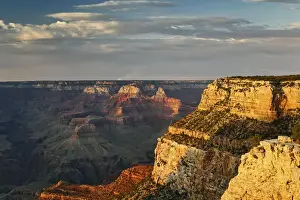 Arizona Prints: DDE-90038787