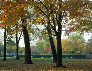 Autumnal Collection: DDE-90038932