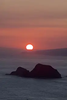 Horizon Prints: DDE-90039005