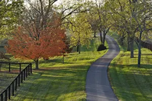 Kentucky Prints: DDE-90039025