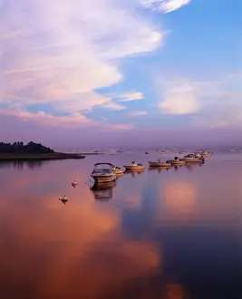 Moored Prints: DDE-90039097