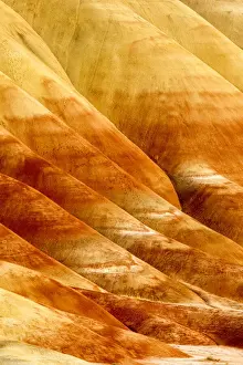 Painted Prints: DDE-90039255