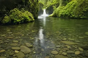 Falls Prints: DDE-90039266