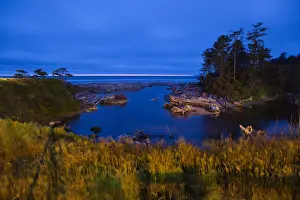 Horizon Prints: DDE-90039651