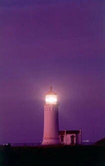 Lighthouse Collection: DDE-90039686
