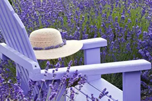Chair Prints: DDE-90039693