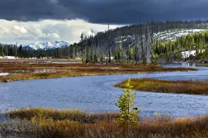 Yellowstone Prints: DDE-90039737
