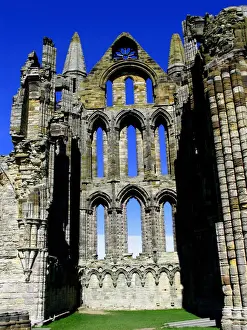 Abbey Prints: DDE-90182197
