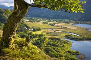 Cumbria Prints: DDE-90182204