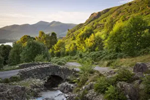 Bridge Prints: DDE-90182207