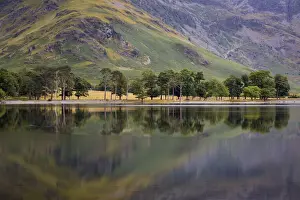 Cumbria Prints: DDE-90182208