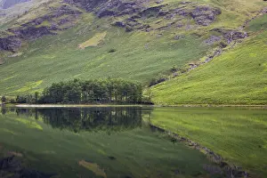 Cumbria Prints: DDE-90182210