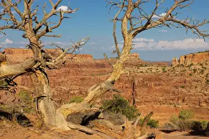 Dead Horse State Park. Utah, USA. Date: 16-07-2021