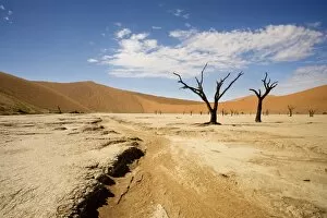 Dead Trees In Dead Vlei - Dead trees with red dunes and a dried white clay floor