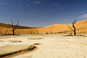 Dead Trees In Dead Vlei - Dead trees with red dunes and a dried white clay floor - Southern Namib Desert - Namibia - Africa