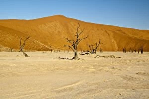 Deadvlei - dead trees and dunes